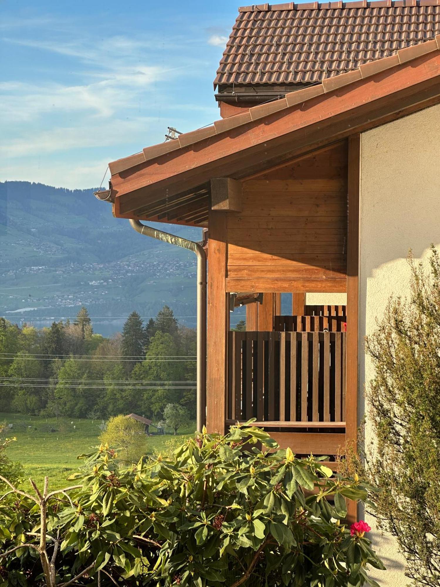 Hotel Aeschipark Aeschi Bei Spiez Екстер'єр фото