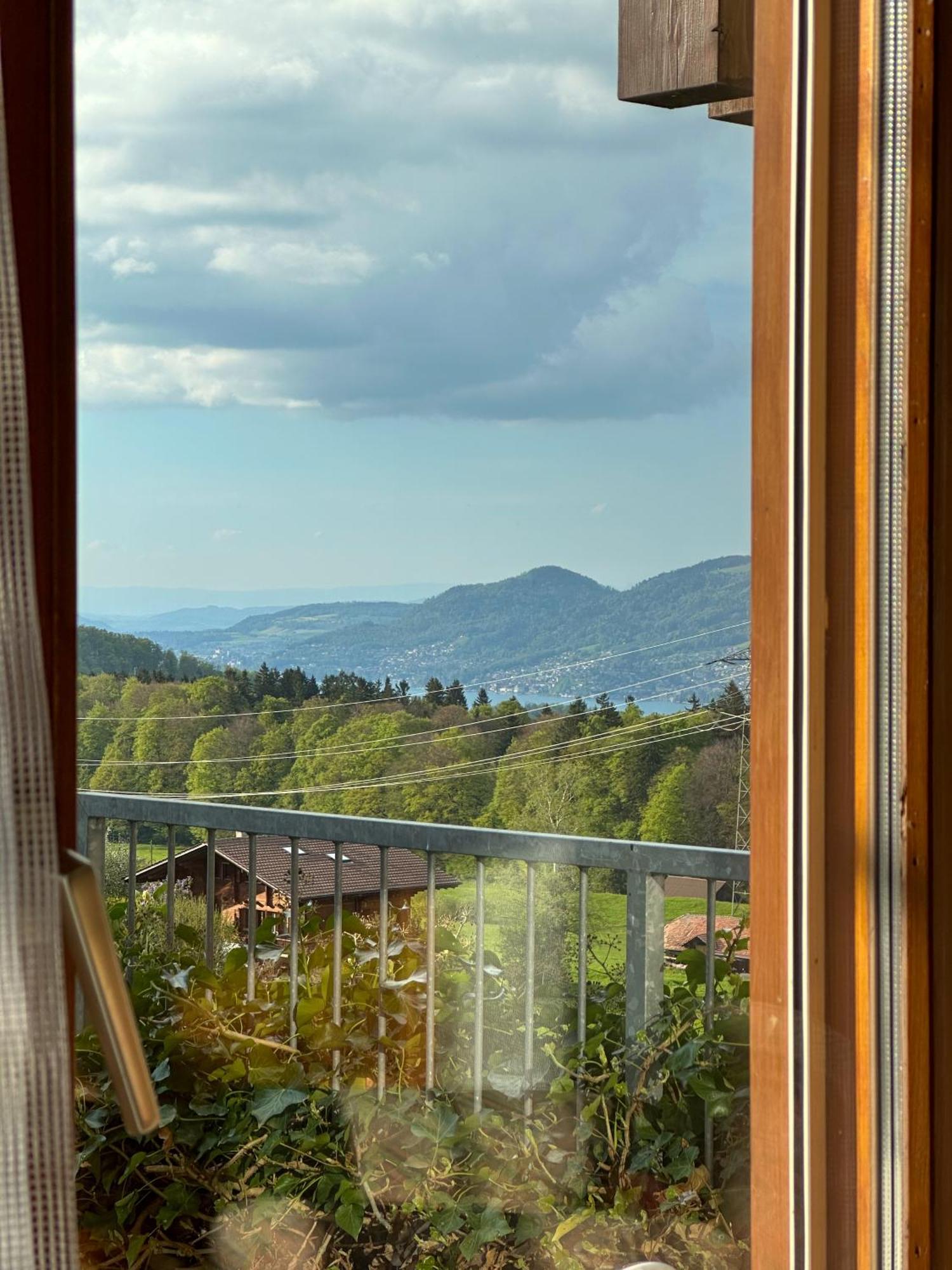 Hotel Aeschipark Aeschi Bei Spiez Екстер'єр фото